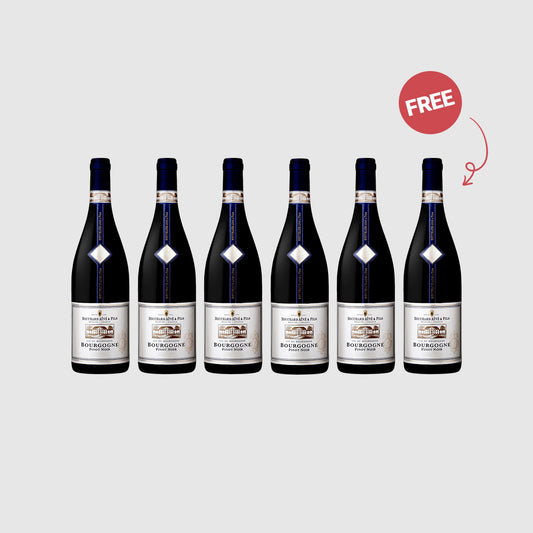 Bouchard Aîné & Fils Bourgogne Pinot Noir 2013 Bundle