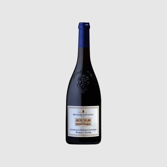 Bouchard Aîné & Fils Coteaux Bourguignons Pinot Noir 2013